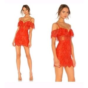 NBD X NAVEN DRESS USED ONCE